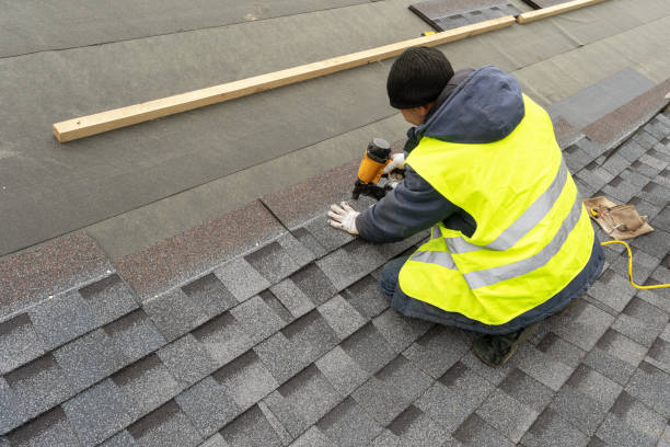 Best Roof Leak Repair  in Genesee, ID