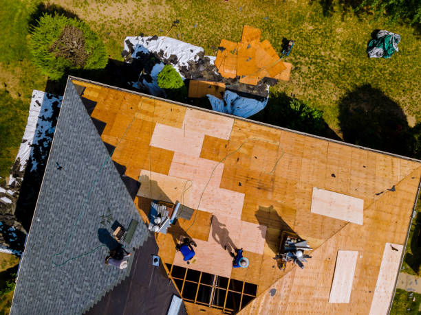 Best Local Roofing Companies  in Genesee, ID
