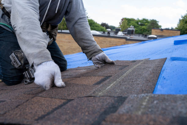 Best Emergency Roof Repair  in Genesee, ID