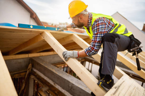 Best Roof Gutter Cleaning  in Genesee, ID